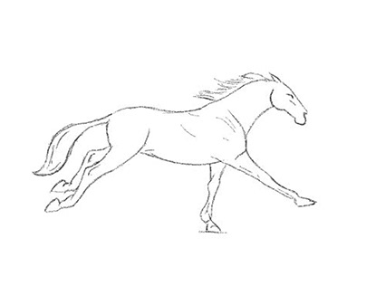Horse running 2D animation