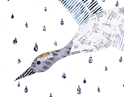 The Bird That Makes Rain