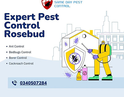 Sameday Pest Control Rosebud