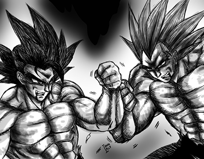Ultra Form Goku VS SSJ Legendary Vegeta