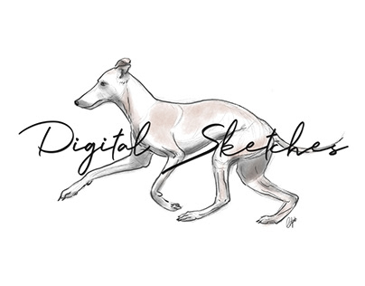 Digital Sketches - Animals