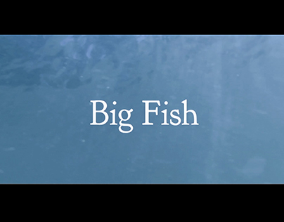 Big Fish Credits - Video making/ motion