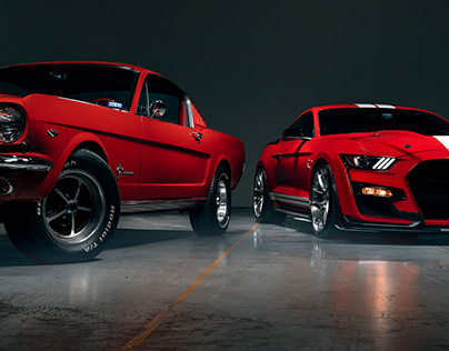 Shelby GT500 & 65' Fastback