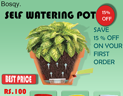 Self watering plant