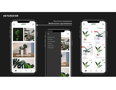 Магазин комнатных растений (mobile & web)