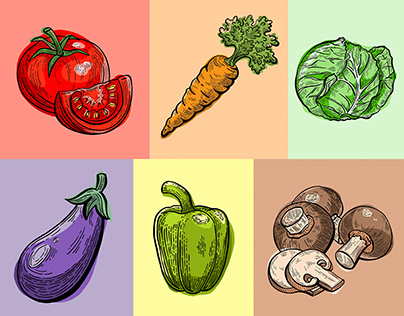Vegetable Illustration Series