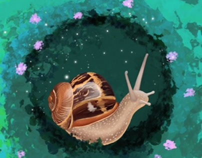 Curious Snail