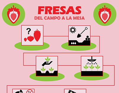 Proceso de cultivo de fresas (Íconos)