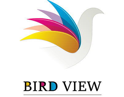 BIRD VIEW LOGO