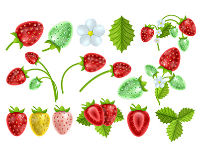 Set of seamless patterns with Strawberry in vector