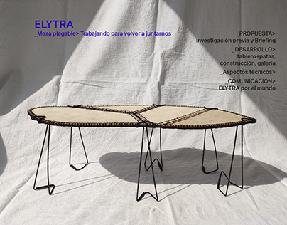 ELYTRA | Concept table design