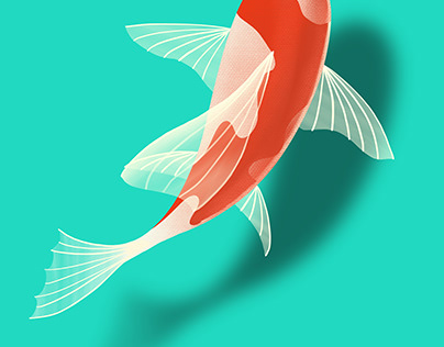 Illustrating - Koi Fish
