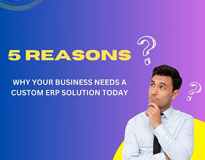 Top 5 Reasons Why Companies Need customise ERP Solution