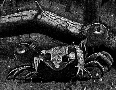 ヒキガエルの皮を被るアオキガハラオカモクズショイ（県指定天然記念物）