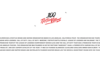 100 THIEVES PROJECT BY ANURAG