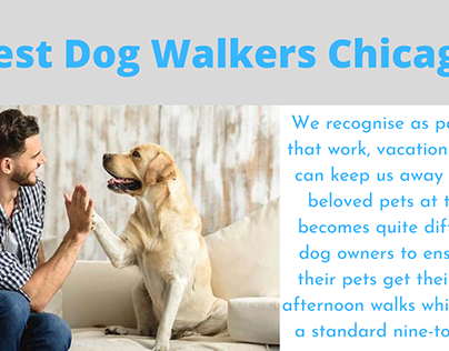 Best Dog Walkers Chicago - Sparky Steps