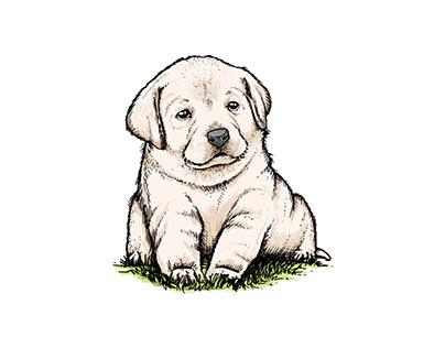 Fat Puppy Illustration