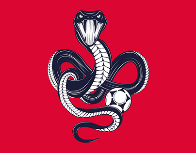 Slytherin : Youth Soccer Logo