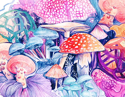 Project thumbnail - Mushroom Magic