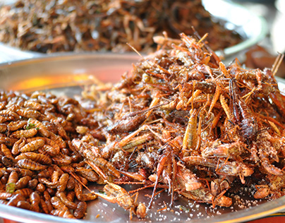 Edible Insects For Human Consumption Market