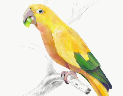 Bright Parrot On The Branch