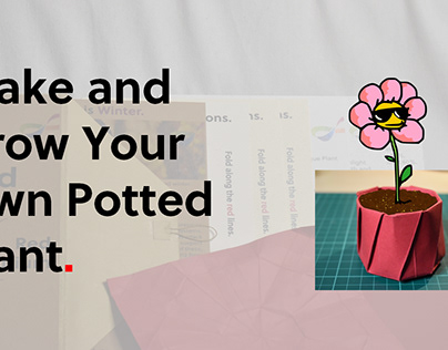 Make and Grow Your Own Potted Plant.
