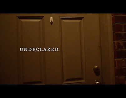 Original Score for Undeclared, by Logan Willis