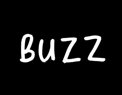 BUZZ - Responsive Website & Branding