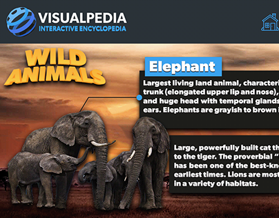 Visualpedia App (A Visual Encyclopedia)