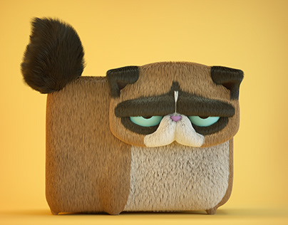 Grumpy cat!