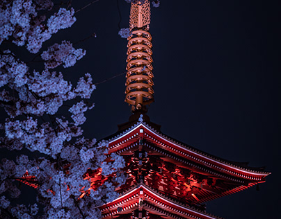 Sensoji Temple in Spring