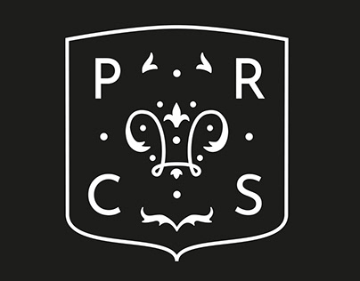 Логотип и мерч для танцевальной команды PRECIOUS