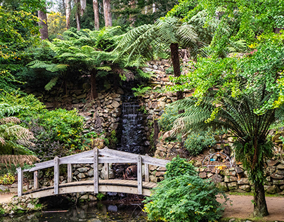 Cool and Tranquil, Alfred Nicholas Memorial Gardens