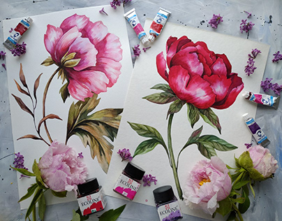 Watercolor Botanical Illustrations. Flower Prints