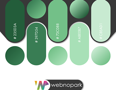 WebnoRenk #12 - webnopark.com