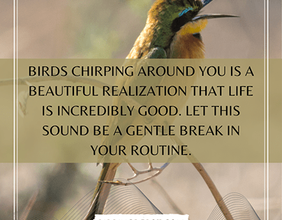 Birds chirping around you is a beautiful realization