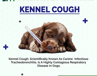 Kennel Cough | Sukhda Pet Hospital