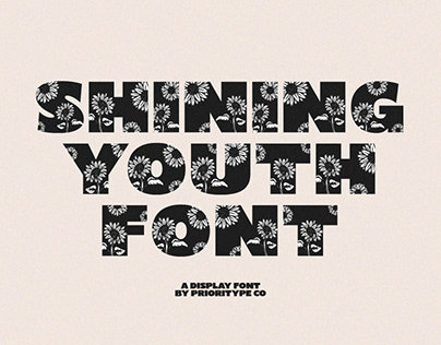 Shining Youth // Display Font // Free Font