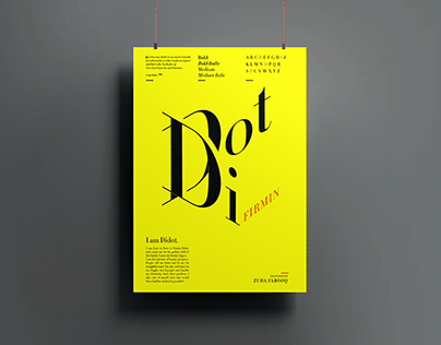 Didot | Typeface Poster