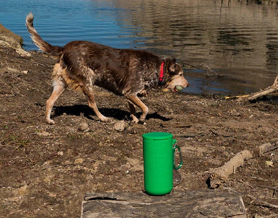 Reusable Dog Doo Tube For Clean and Hygienic Adventures
