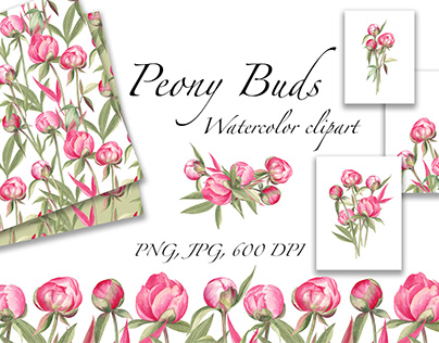 Peony Buds Watercolor Clipart
