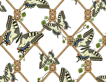 The Old World swallowtail butterfly design