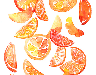 Fruit Illustration Series