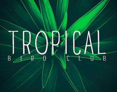 Vinyle Cover | Tropical Bird Club