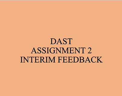 DAST assi2 interim feedback