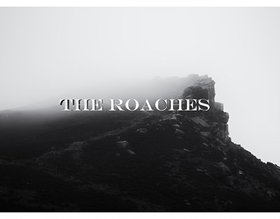 The Roaches