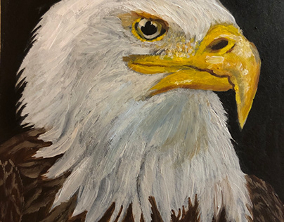 Bold Eagle USA, animal