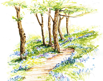 Bluebell Woodland ~ Watercolor