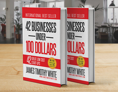 42 Business Under 100 Dollars Book Cover