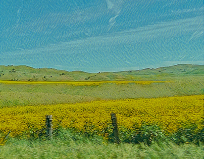 textured floral hills